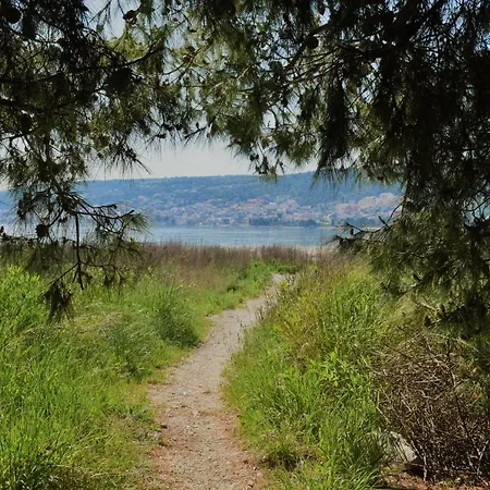 Anita Apartman Trogir