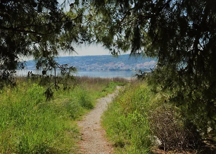 Anita Apartman Trogir