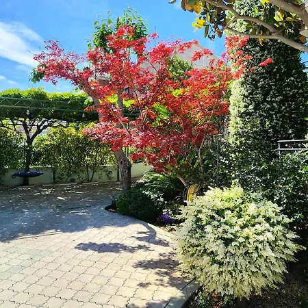 Anita Τρογκίρ