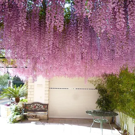 Apartment Anita Trogir