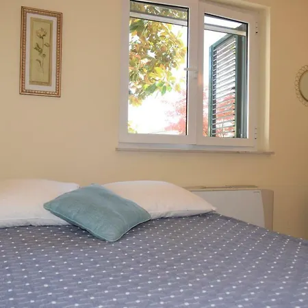 Anita Τρογκίρ