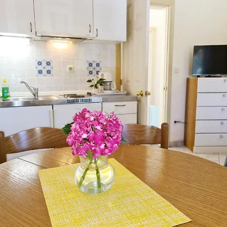 Anita Apartman *