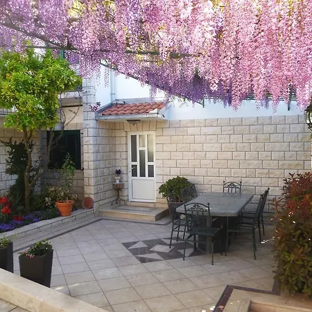 Anita Trogir
